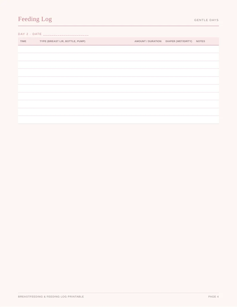 Page 4 of the Breastfeeding Log