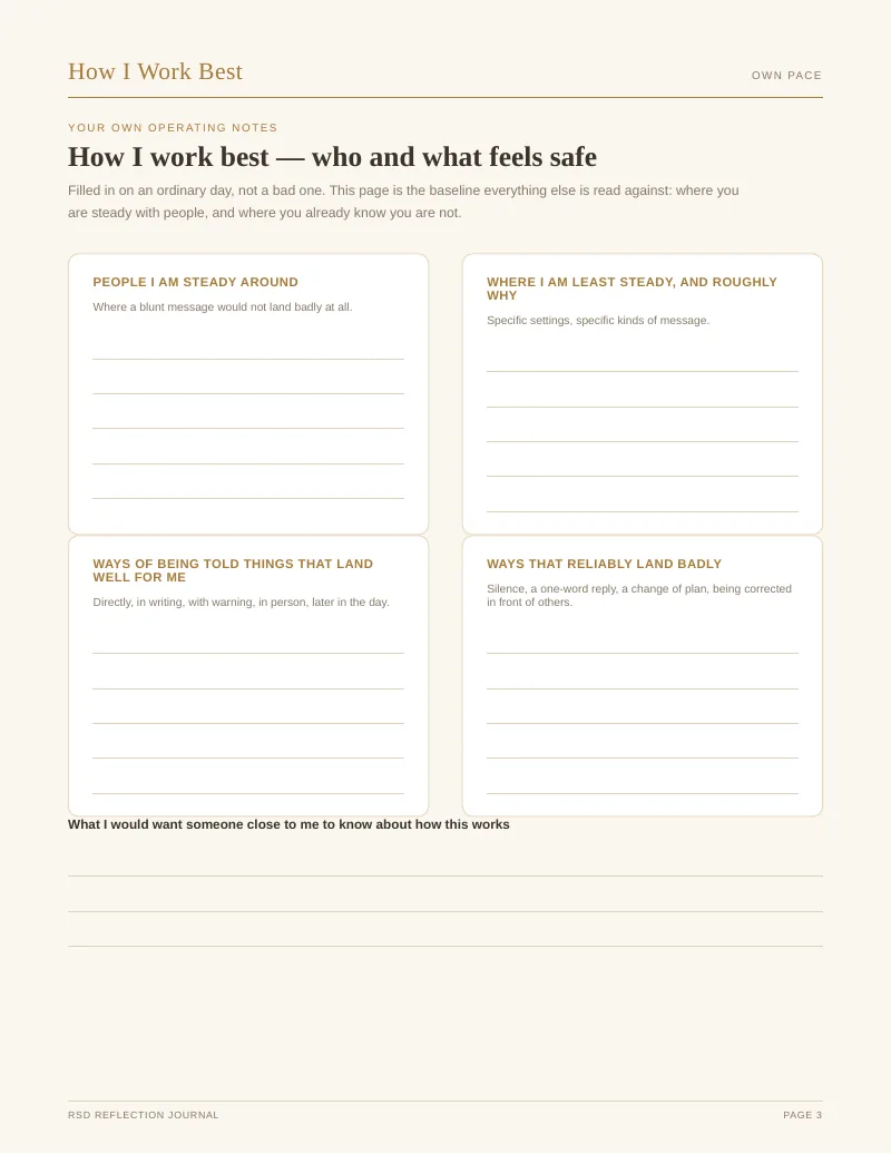Page 3 of the RSD Reflection Journal